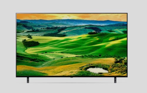 LG 65 inch QNED 4K Quantum Dot & Nanocell TV(QNED 806)